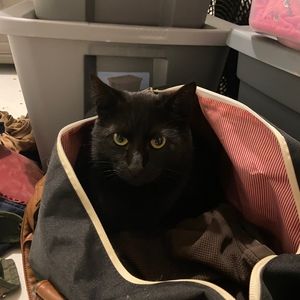 Meet your Posher, Posh